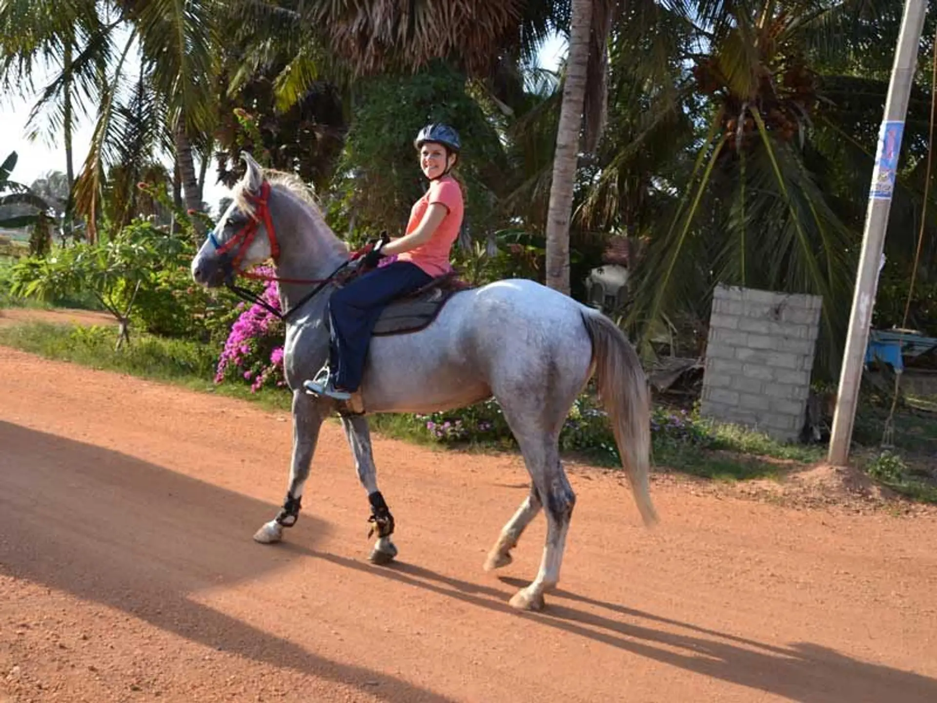 balade-cheval-kalpitiya-au-sri-lanka.htm