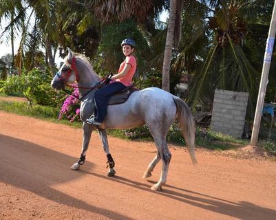 balade-cheval-kalpitiya-au-sri-lanka.htm