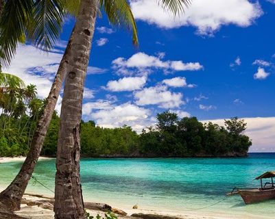 Travel in Asia - Blue skies over a palm tree-lined beach on Malenge Island in Sulawesi, Indonesia