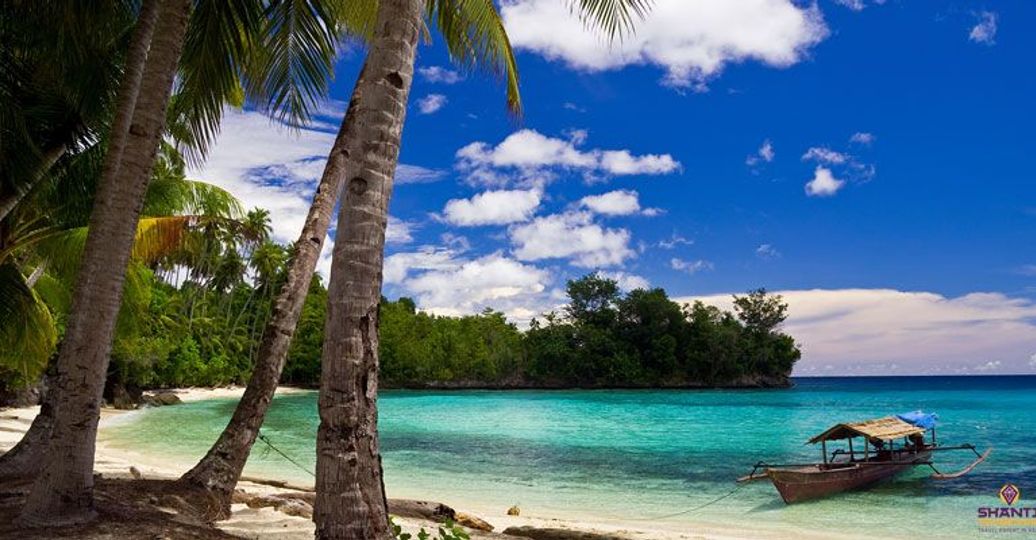 Travel in Asia - Blue skies over a palm tree-lined beach on Malenge Island in Sulawesi, Indonesia