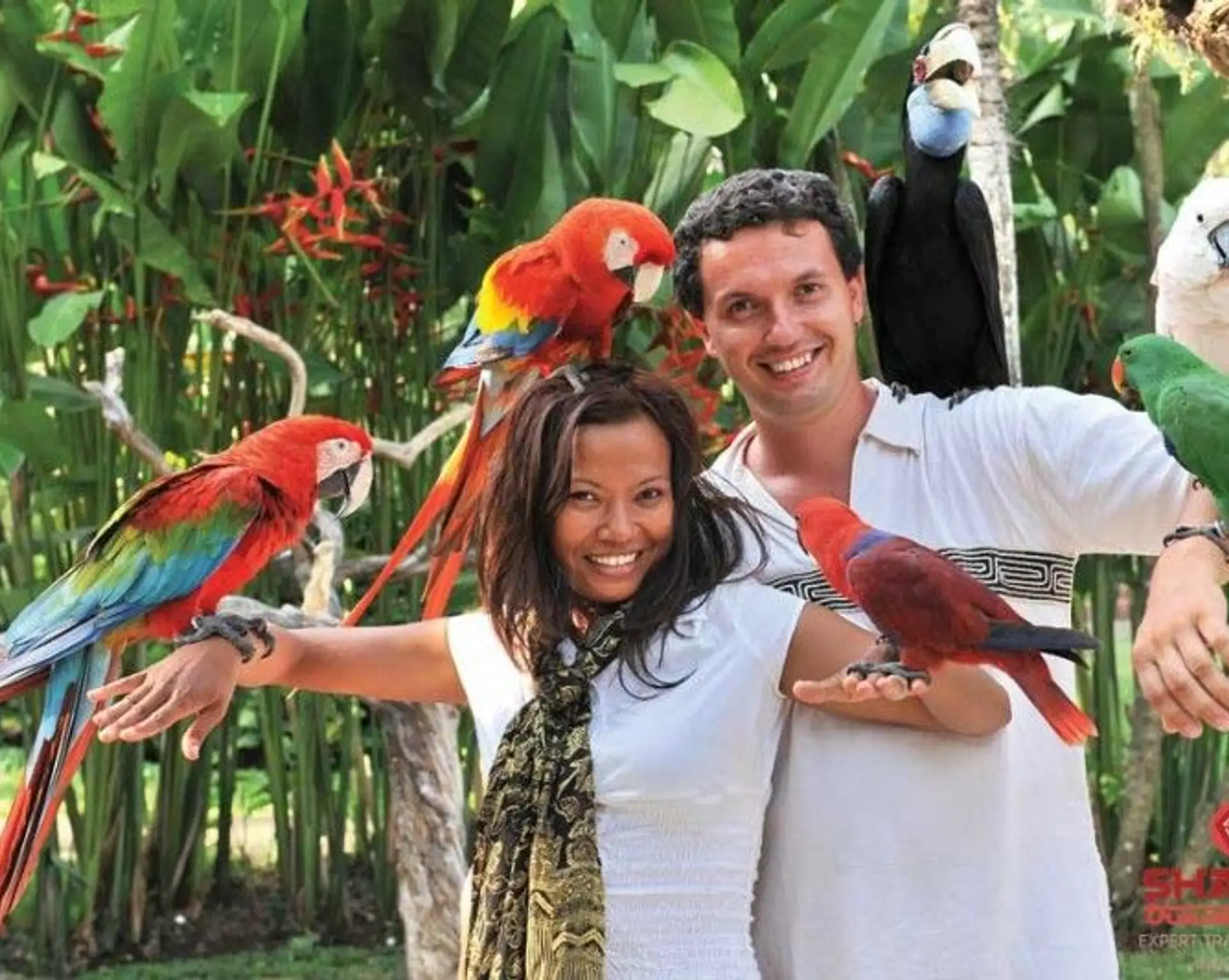 Voyage en Asie - couple en voyage de noces à Bali entouré de perroquets tropicaux dans un jardin exotique