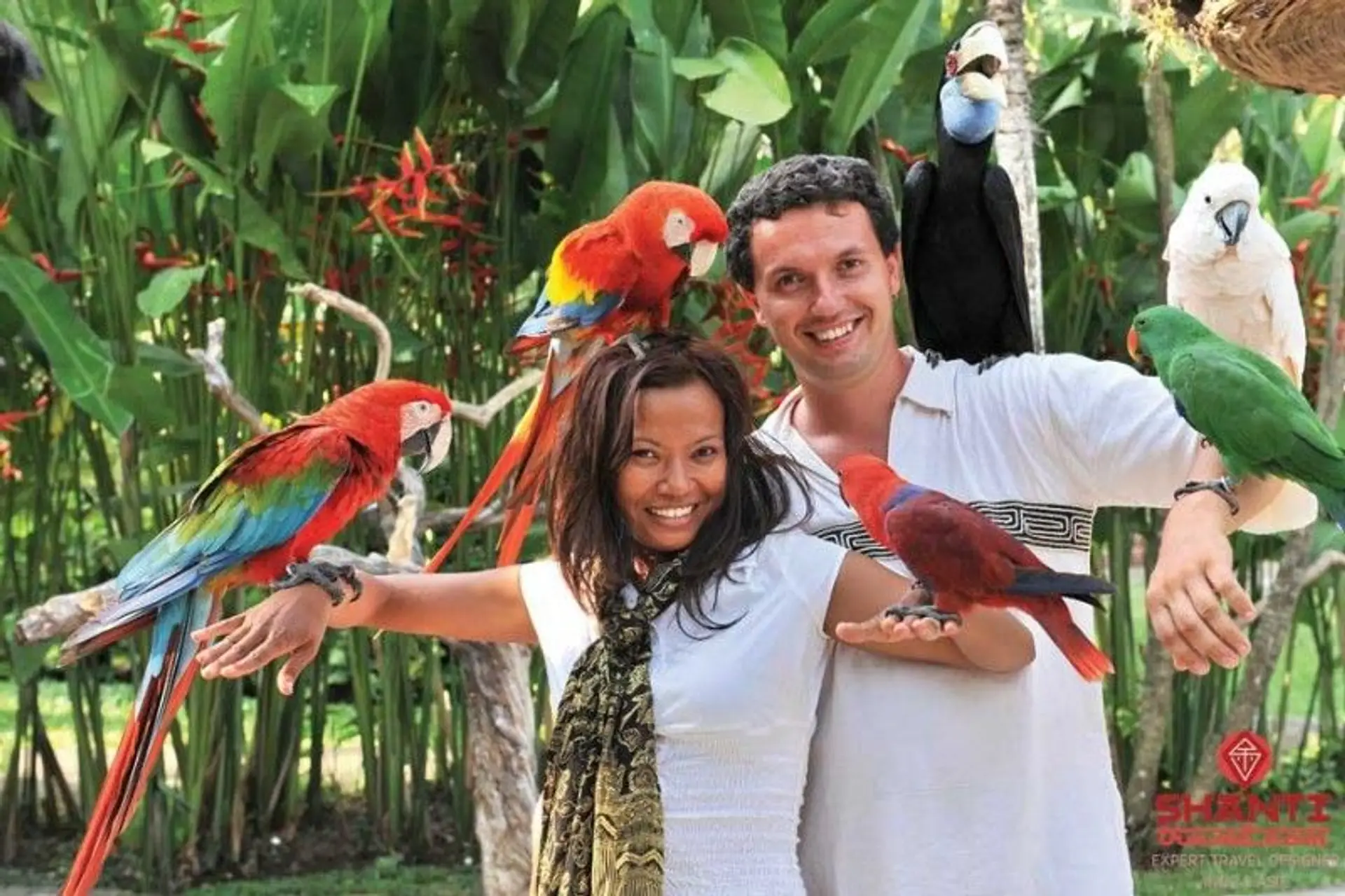 Voyage en Asie - couple en voyage de noces à Bali entouré de perroquets tropicaux dans un jardin exotique