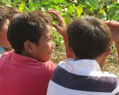 bien-etre-et-detente-bali-massages-yoga-et-promenade.htm