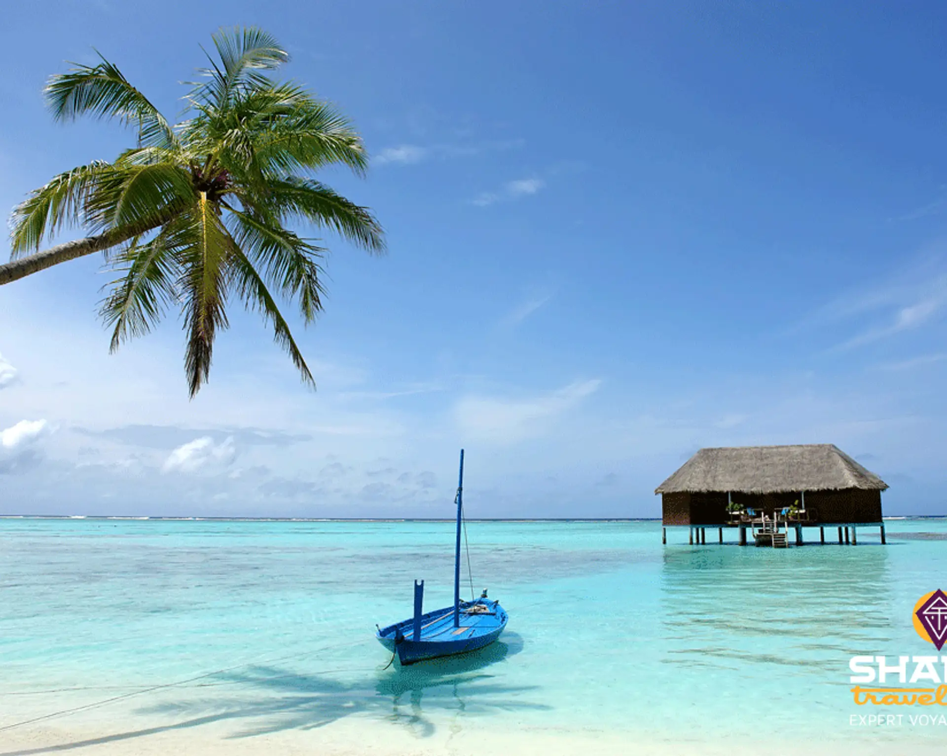 bonnes-raisons-partir-maldives.htm