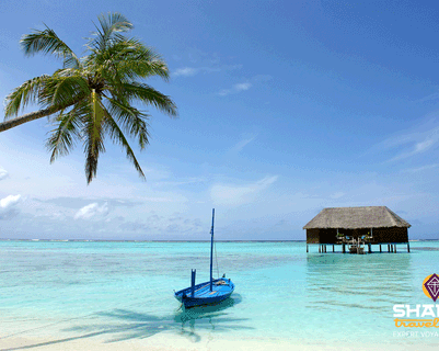bonnes-raisons-partir-maldives.htm