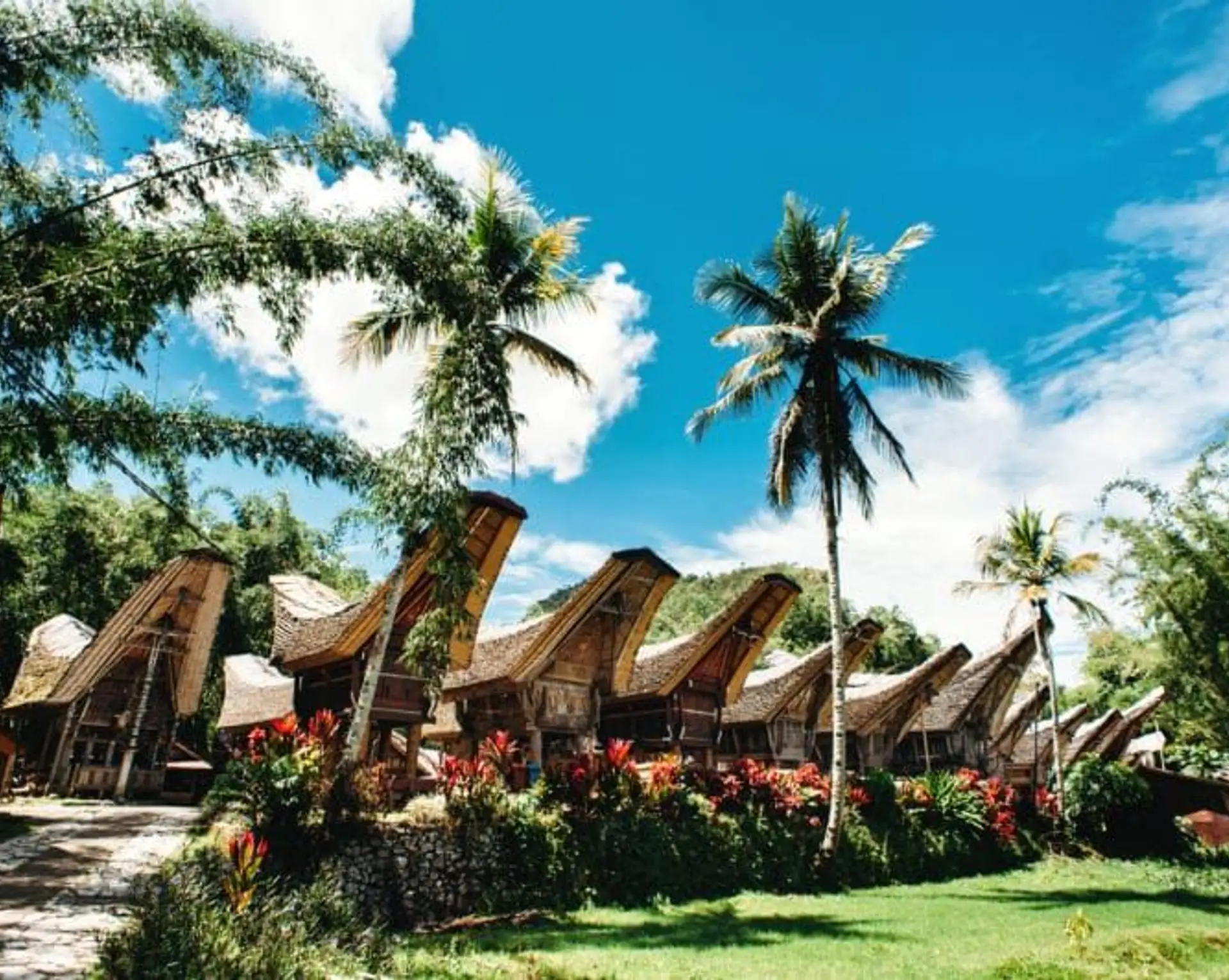 8-bonnes-raisons-voyager-sulawesi.htm