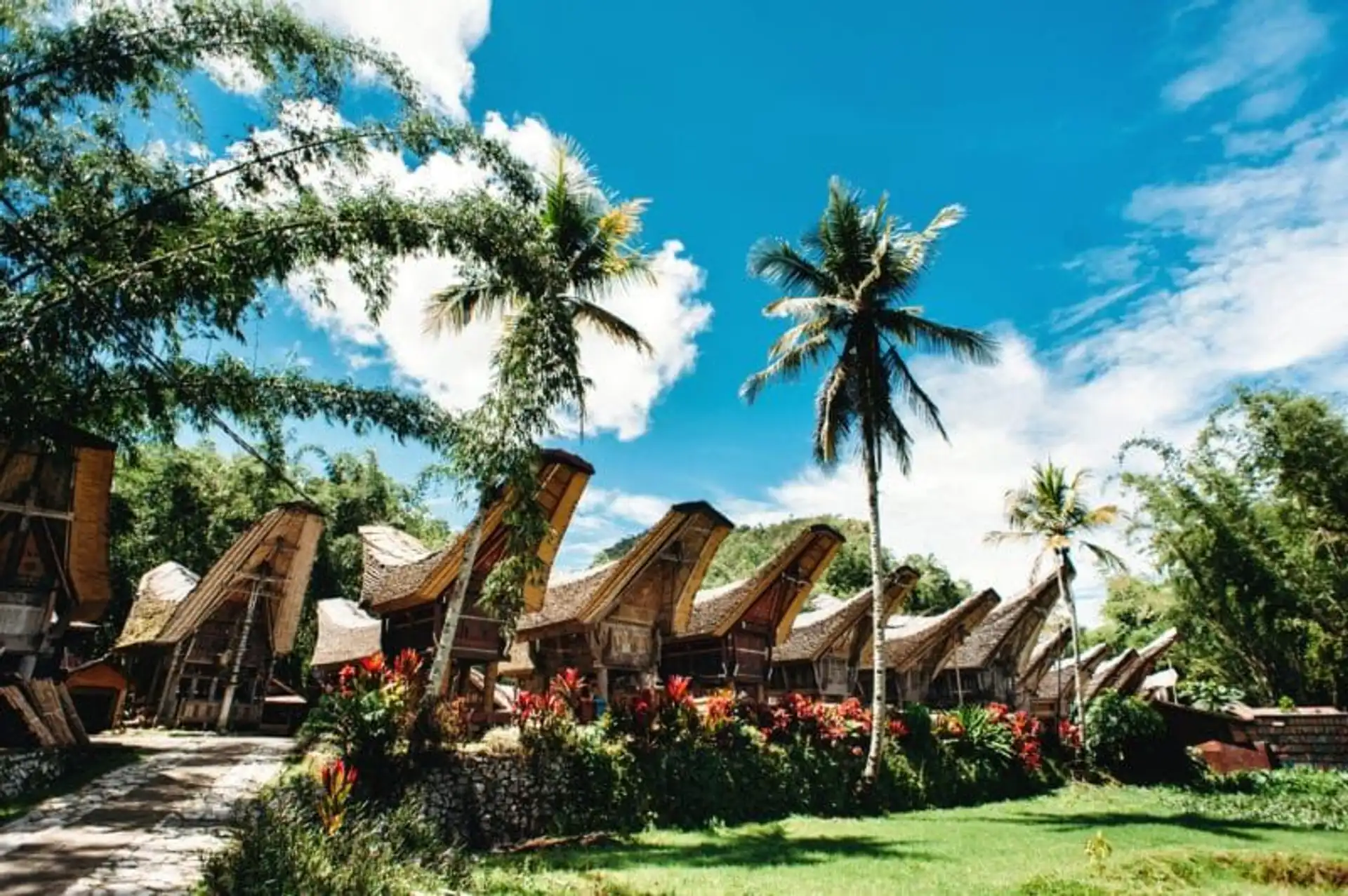 8-bonnes-raisons-voyager-sulawesi.htm