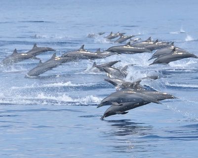 voyage-sri-lanka-en-terre-tamoule.htm