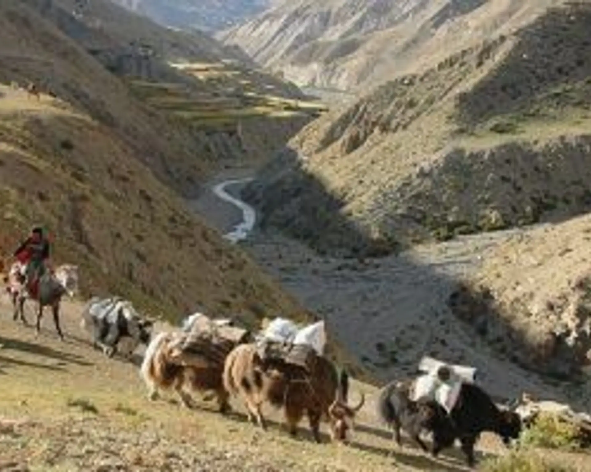 a-savoir-pour-preparer-voyage-mustang.htm