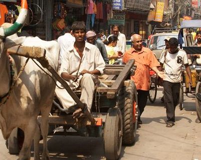 comment-surmonter-un-choc-culturel-en-inde.htm