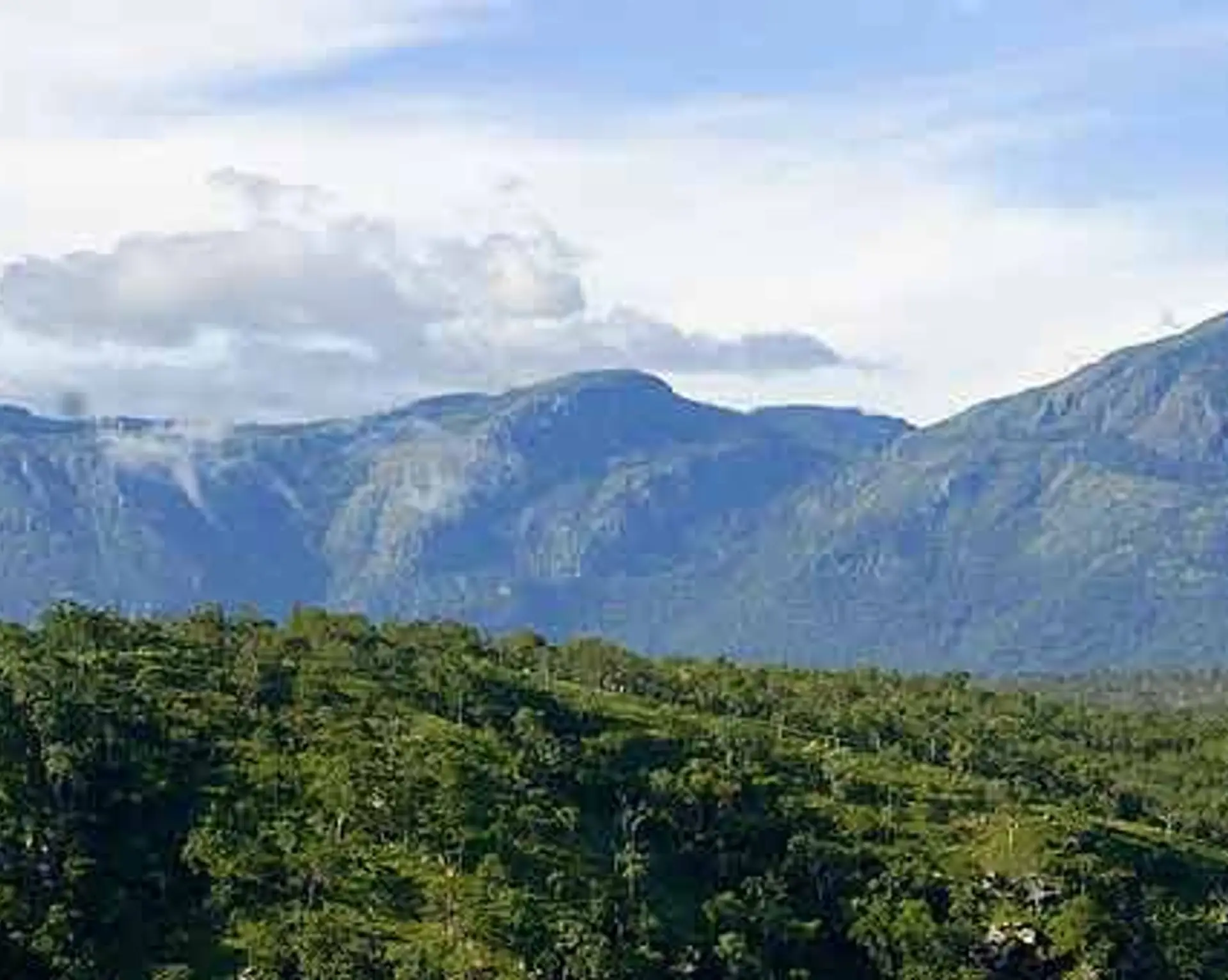 Travel in Asia - Forested hills of the Bandipur National Park in India