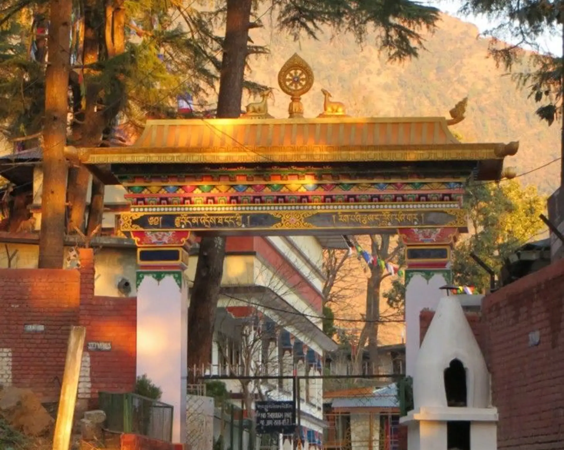 decouverte-de-dharamsala-deuxieme-volet-himachal-pradesh.htm