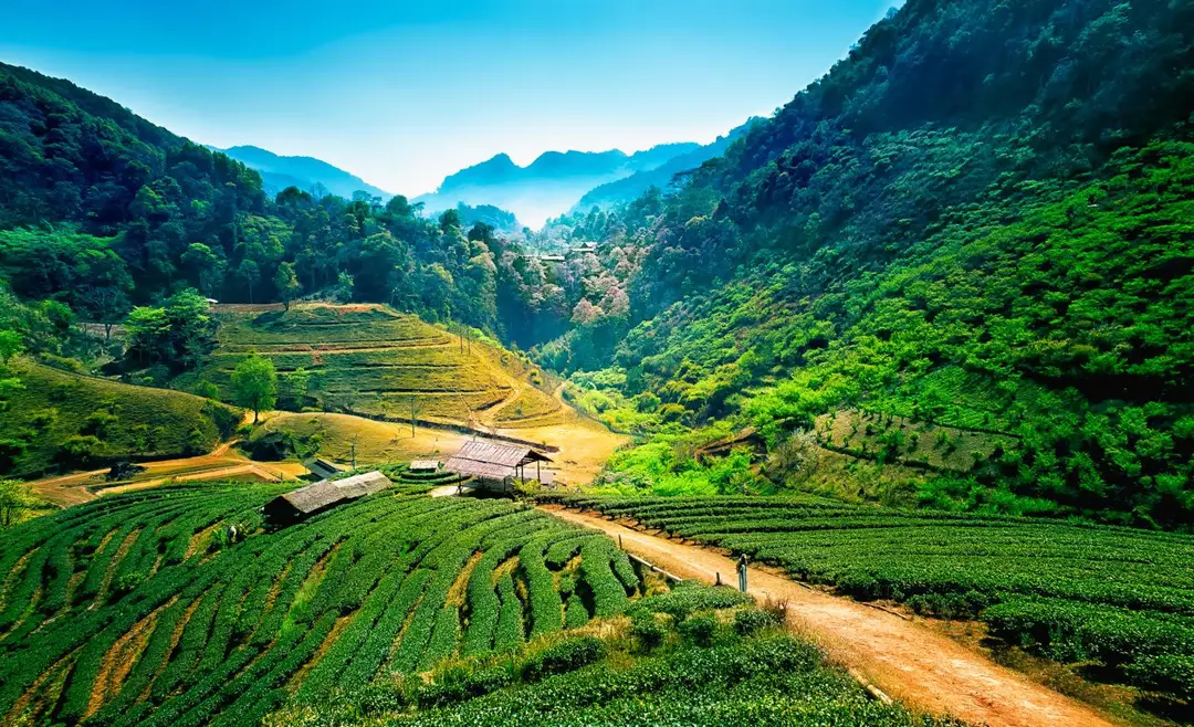 blog decouverte les lieux peu connus en thailande