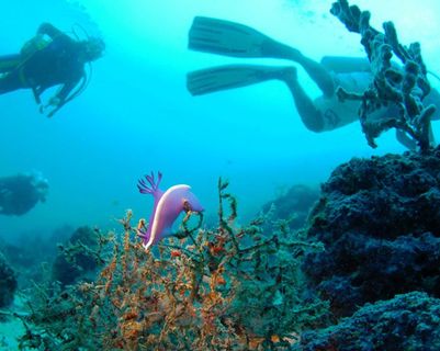 les-5-must-de-bali-et-sa-region.htm