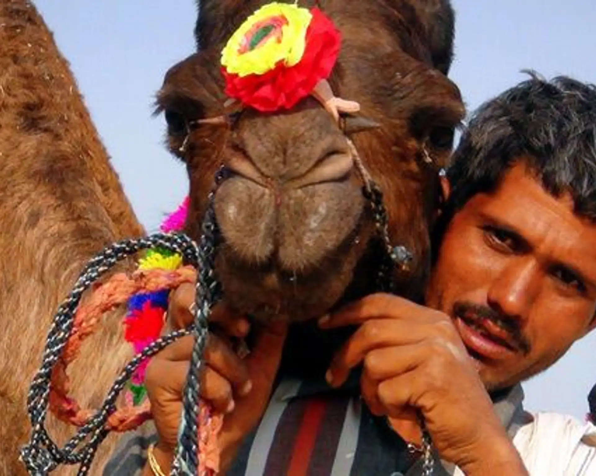 delhi-accueil-shanti-travel-les-expats-la-foire-de-pushkar.htm