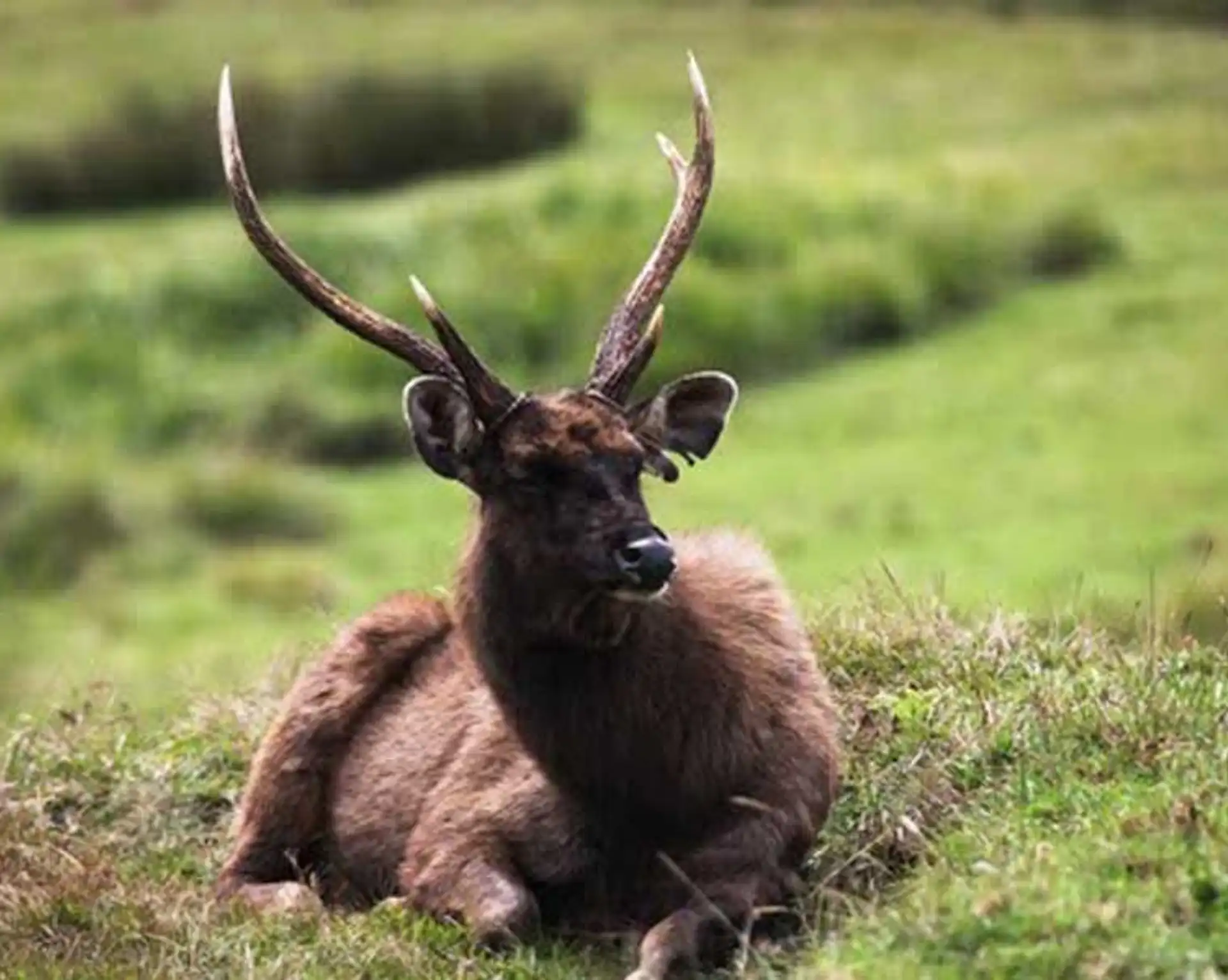 ein-kleiner-urlaub-im-horton-plains-nationalpark-sri-lanka.htm