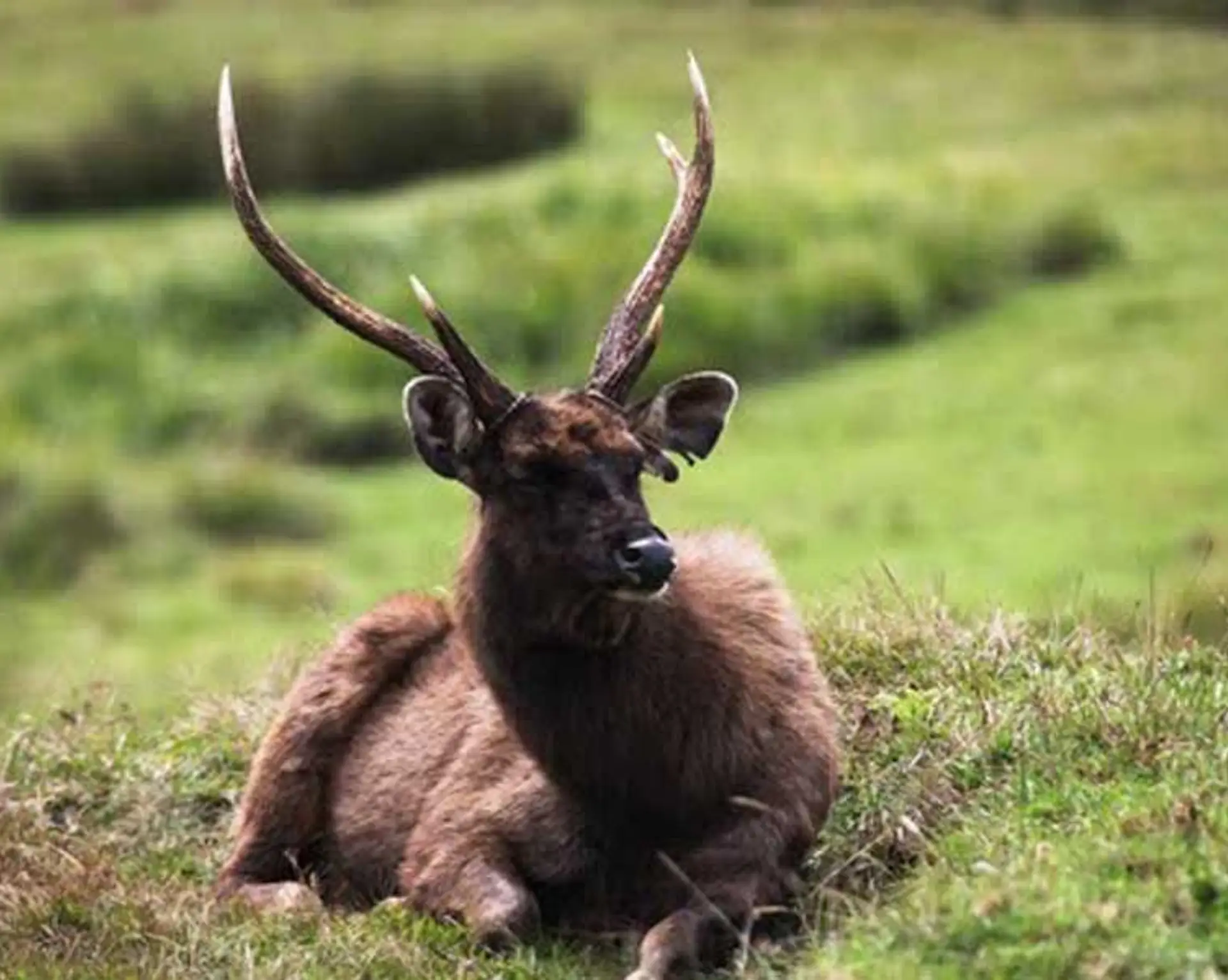 ein-kleiner-urlaub-im-horton-plains-nationalpark-sri-lanka.htm