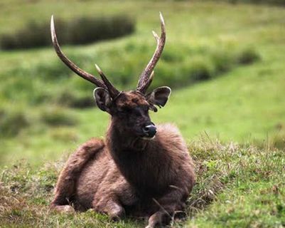 ein-kleiner-urlaub-im-horton-plains-nationalpark-sri-lanka.htm
