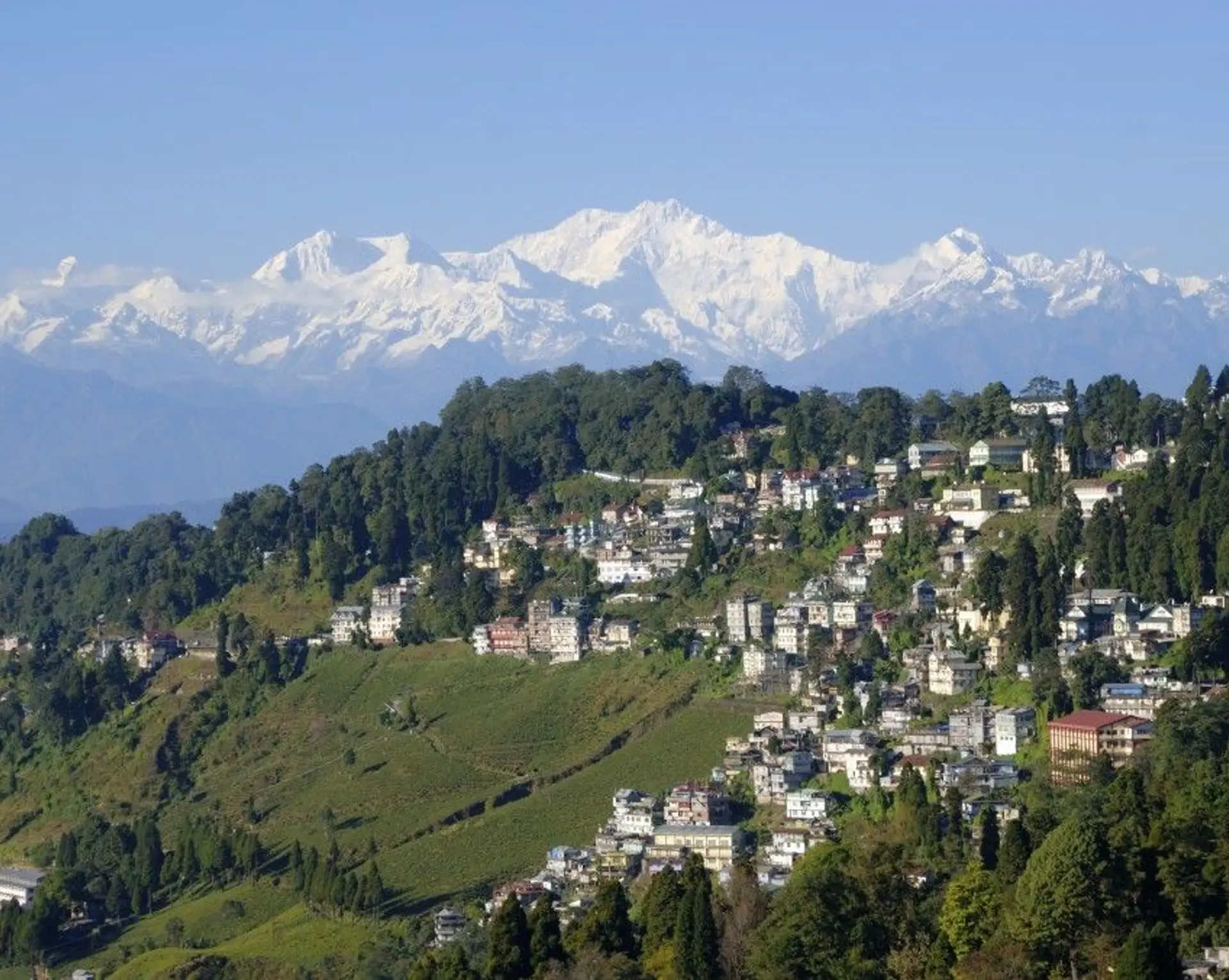 en-direct-de-darjeeling.htm