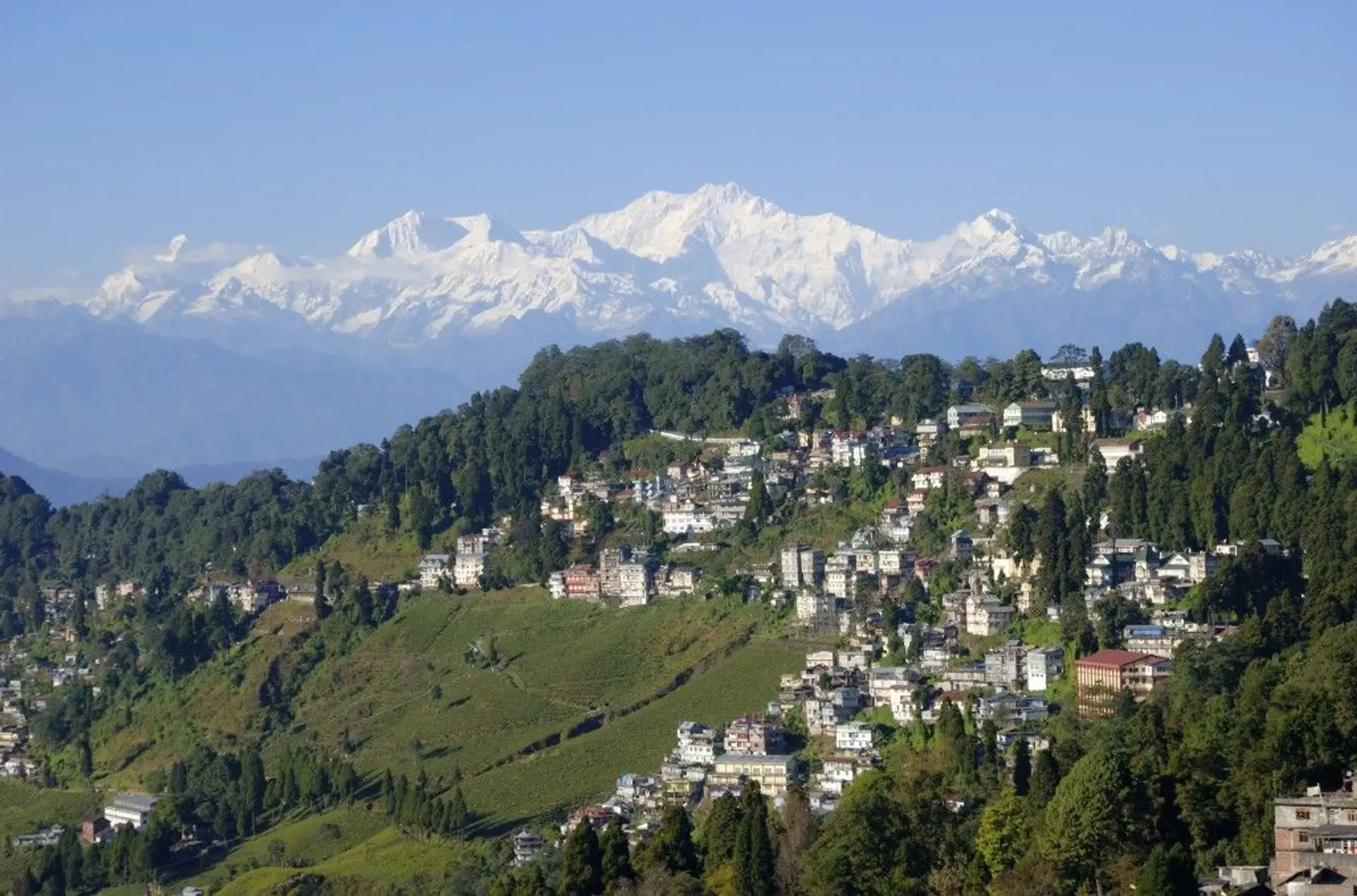 en-direct-de-darjeeling.htm