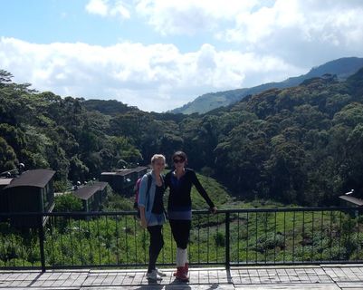 en-randonnee-dans-la-foret-de-sinharaja-au-sri-lanka.htm