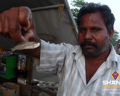 fort-kochi-ville-dhistoire-de-pecheurs-et-de-negoces-au-kerala.htm