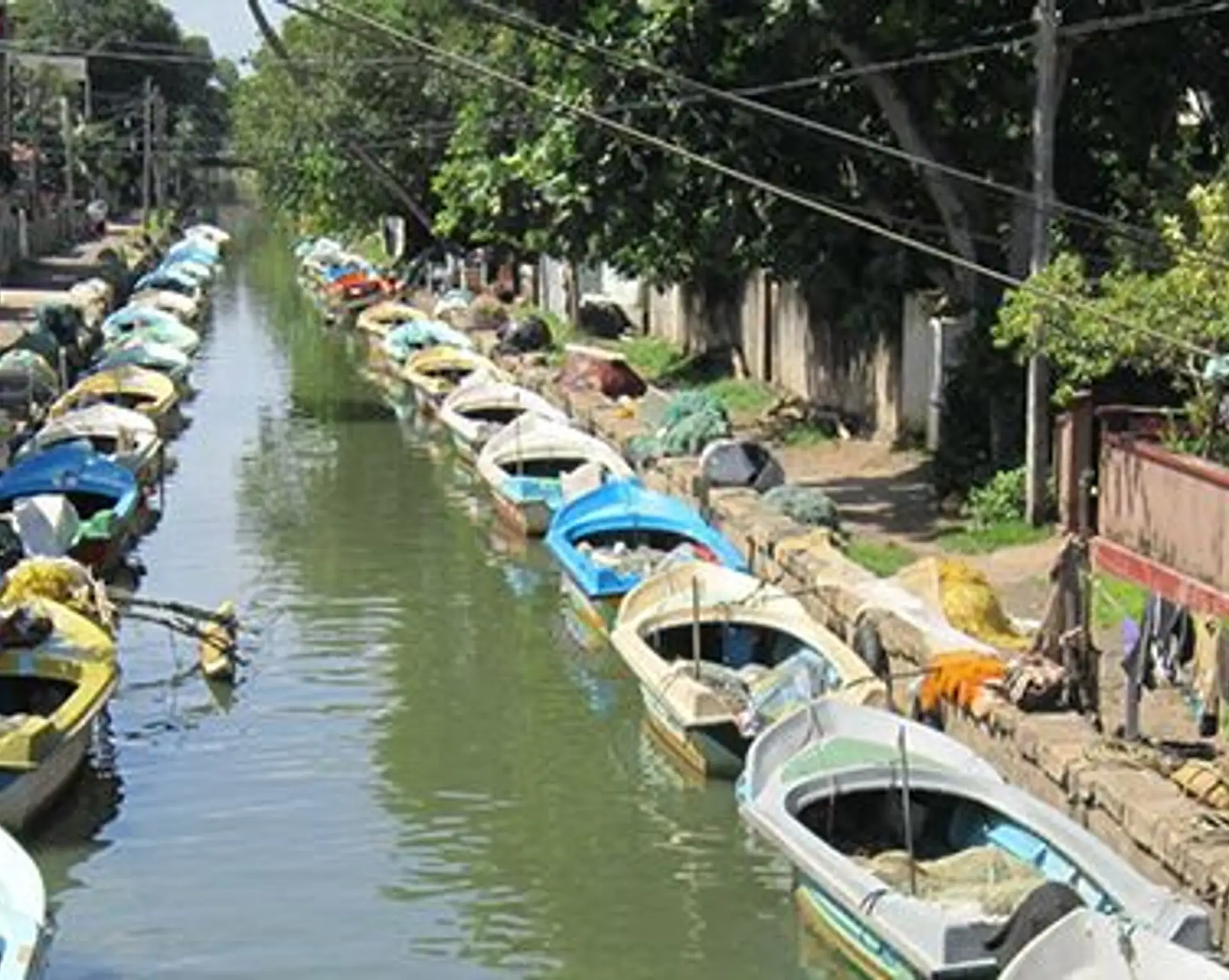 hamilton-kanal-ein-magnet-fur-okotourismus.htm