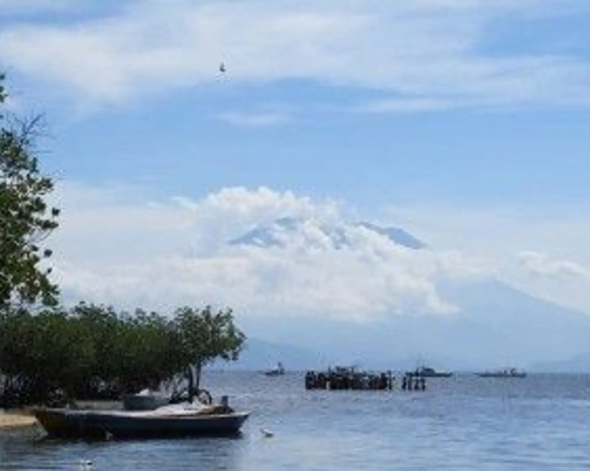 jai-plane-avec-les-raies-manta.htm