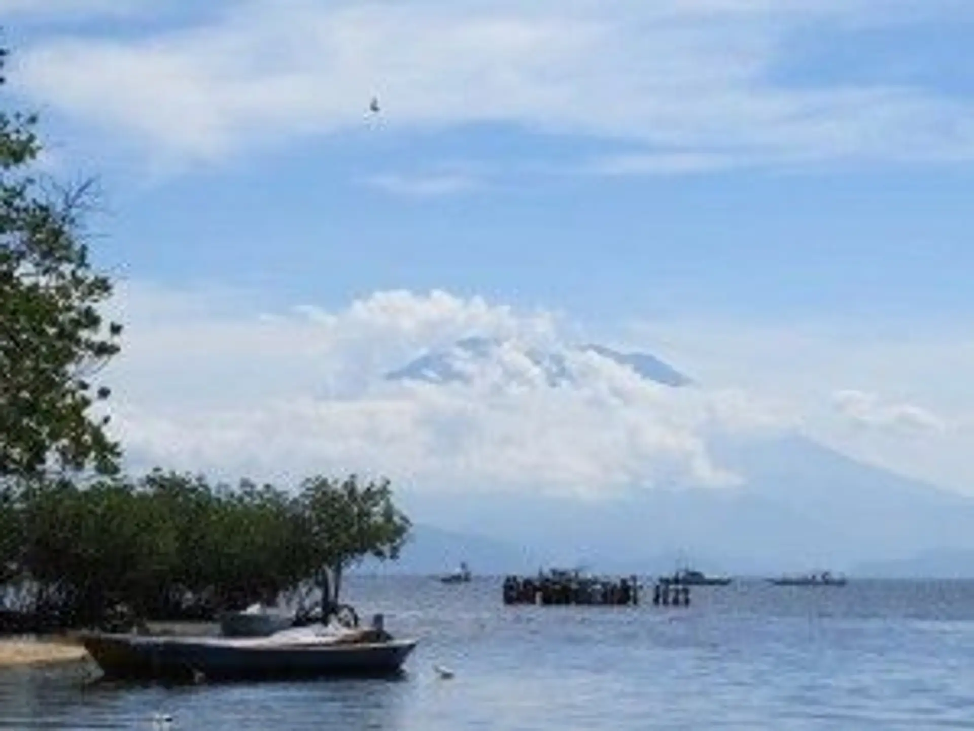 jai-plane-avec-les-raies-manta.htm