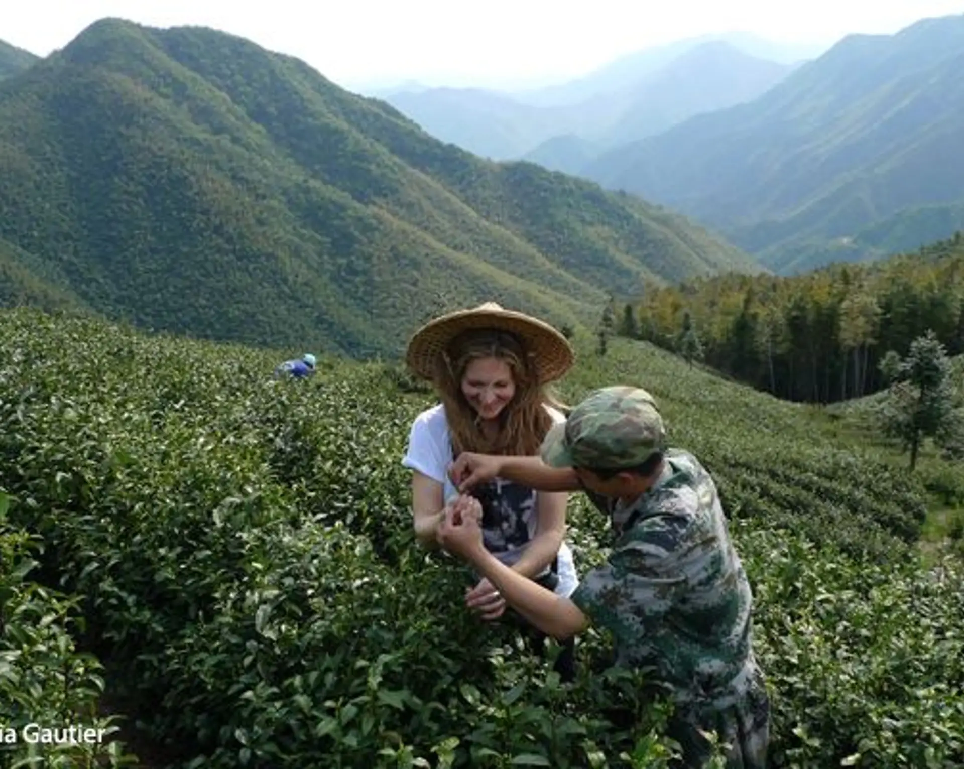 lydia-gautier-expert-du-voyage-les-feuilles-dor-de-ceylan.htm