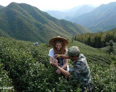 lydia-gautier-expert-du-voyage-les-feuilles-dor-de-ceylan.htm