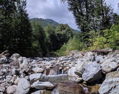 kakhetie-douce-region-georgie.htm