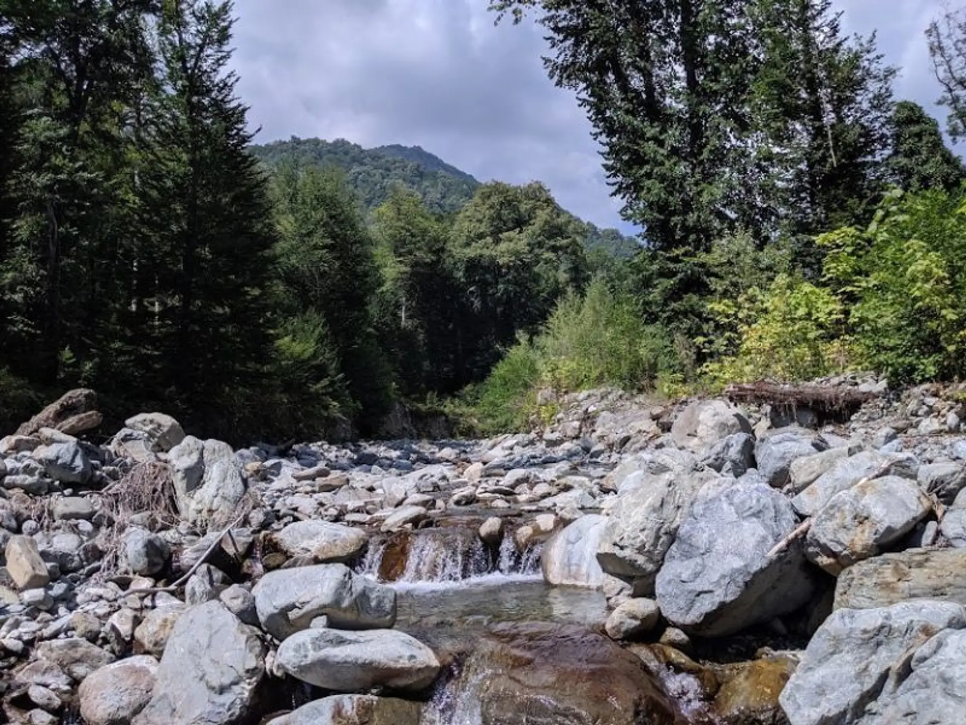 kakhetie-douce-region-georgie.htm