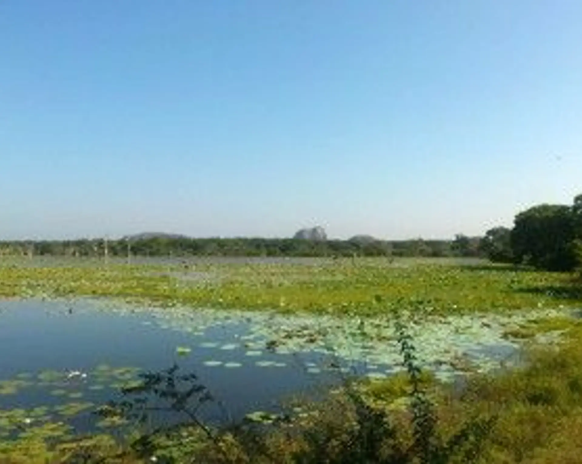 parc-national-yala-sri-lanka.htm