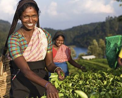 le-sri-lanka-autrement-un-voyage-hors-saison.htm