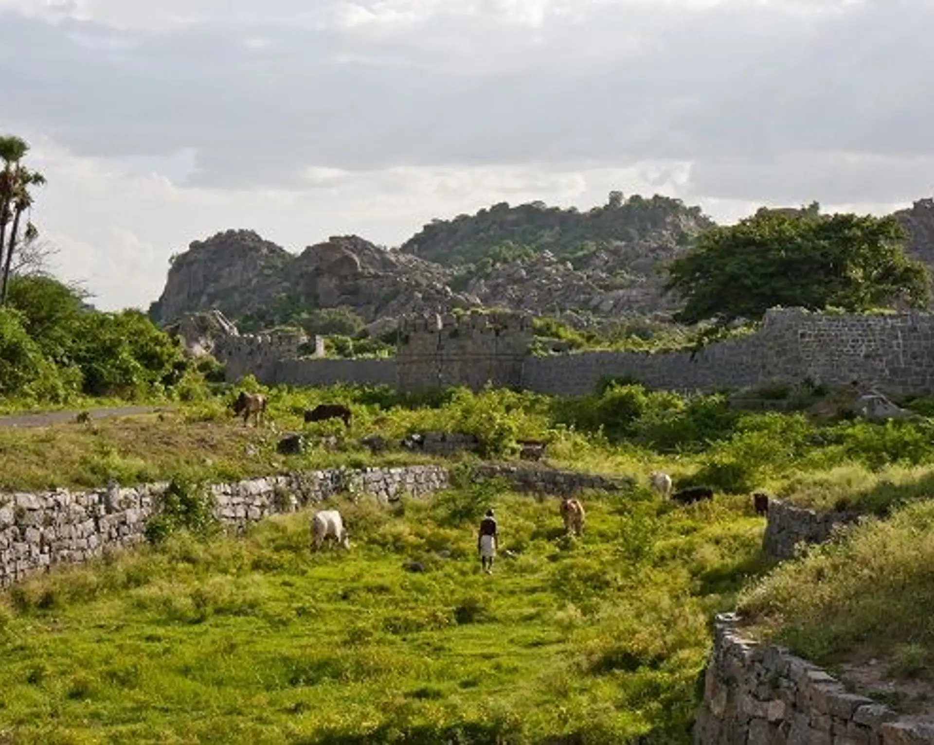 bijoux-tamil-nadu.htm