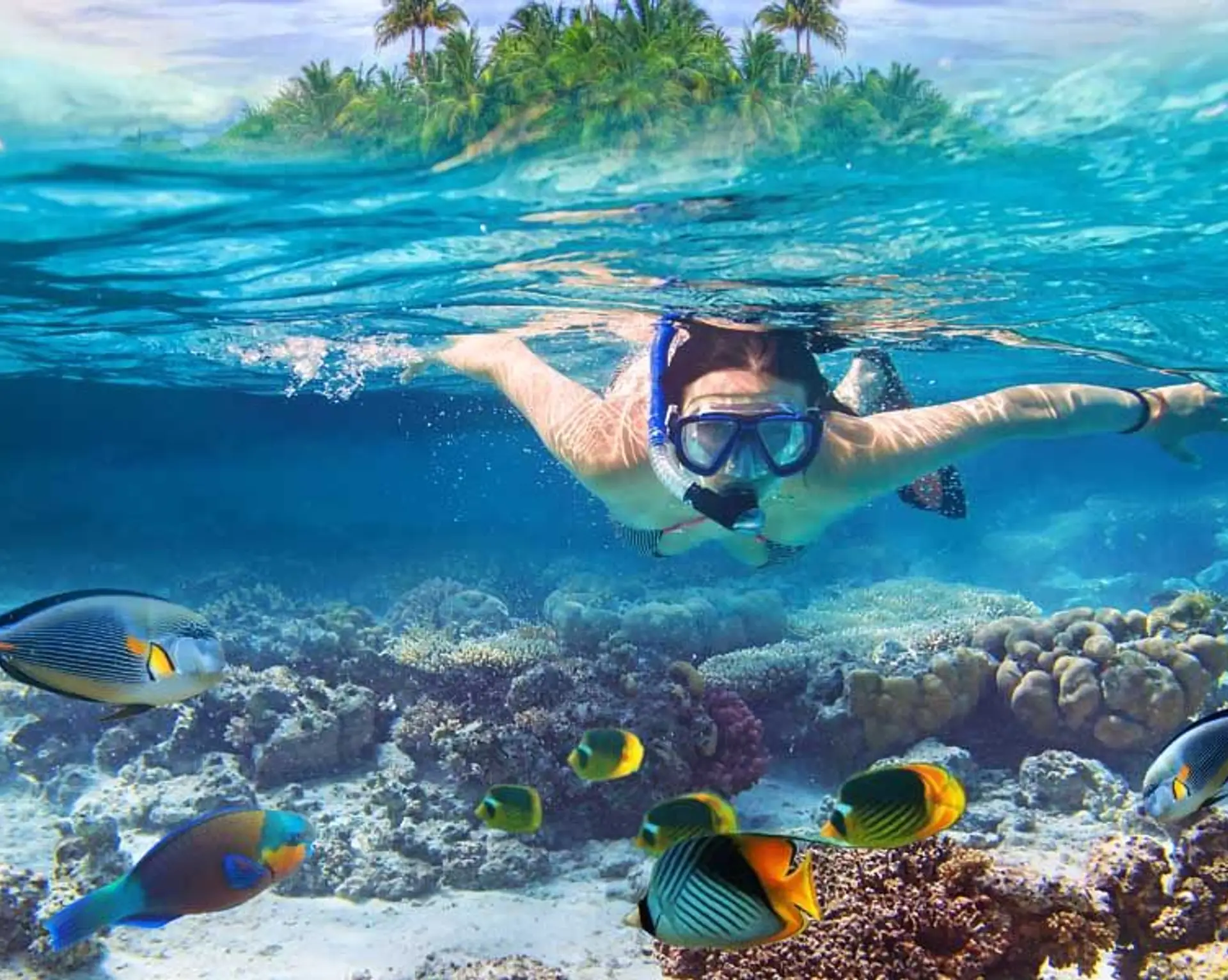 pigeon-island-nationalpark-sri-lanka.htm