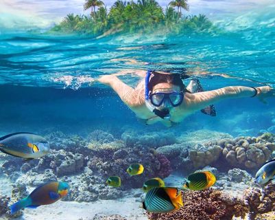 pigeon-island-nationalpark-sri-lanka.htm