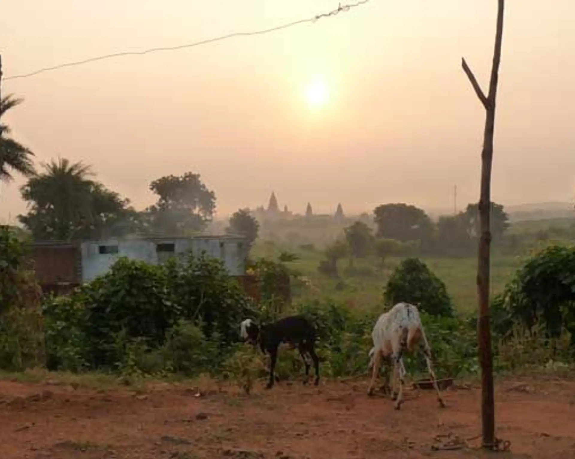 visite-madhya-pradesh-inde.htm