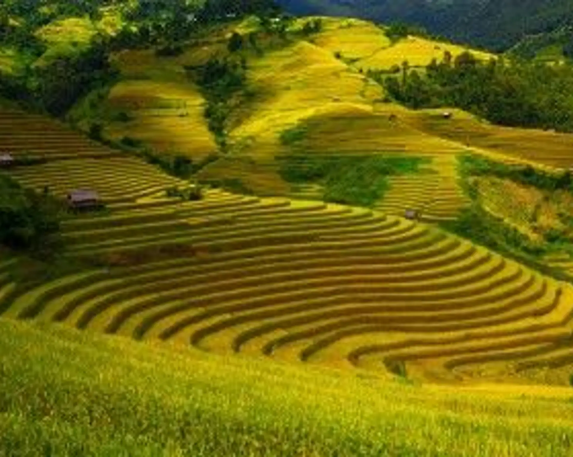 quatre-prenoms-bali.htm