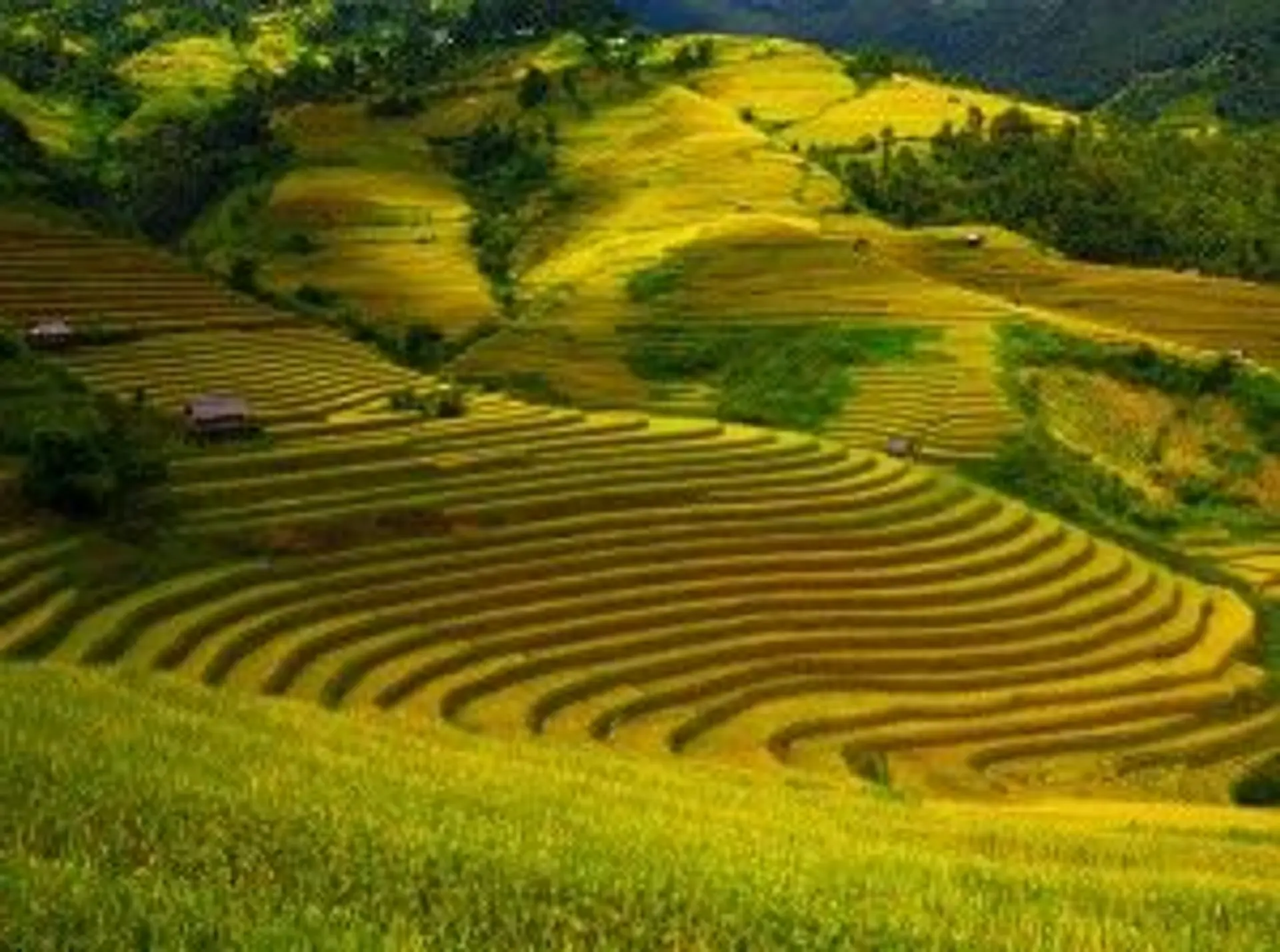 quatre-prenoms-bali.htm