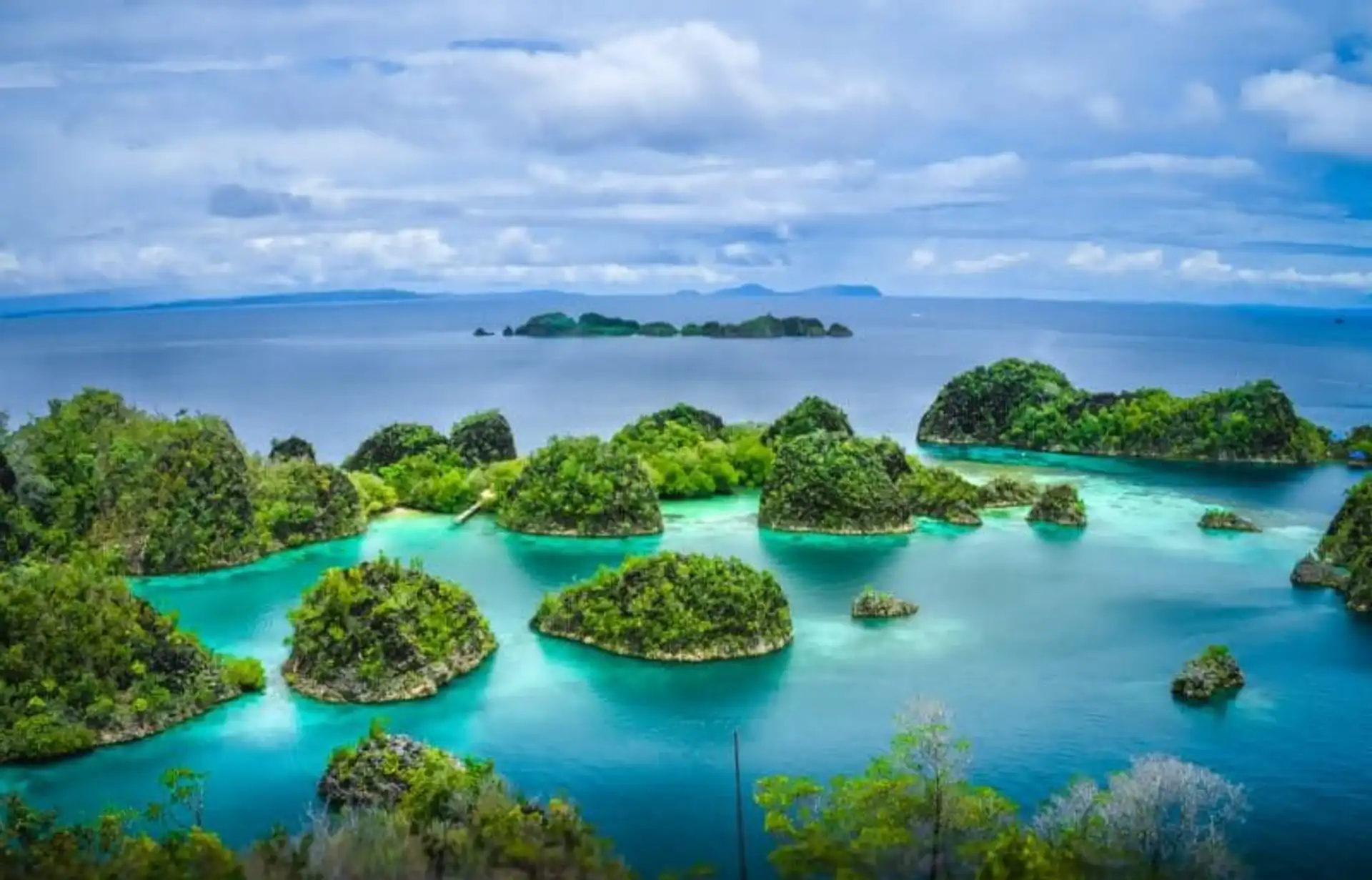 5-raisons-raja-ampat-hiver.htm