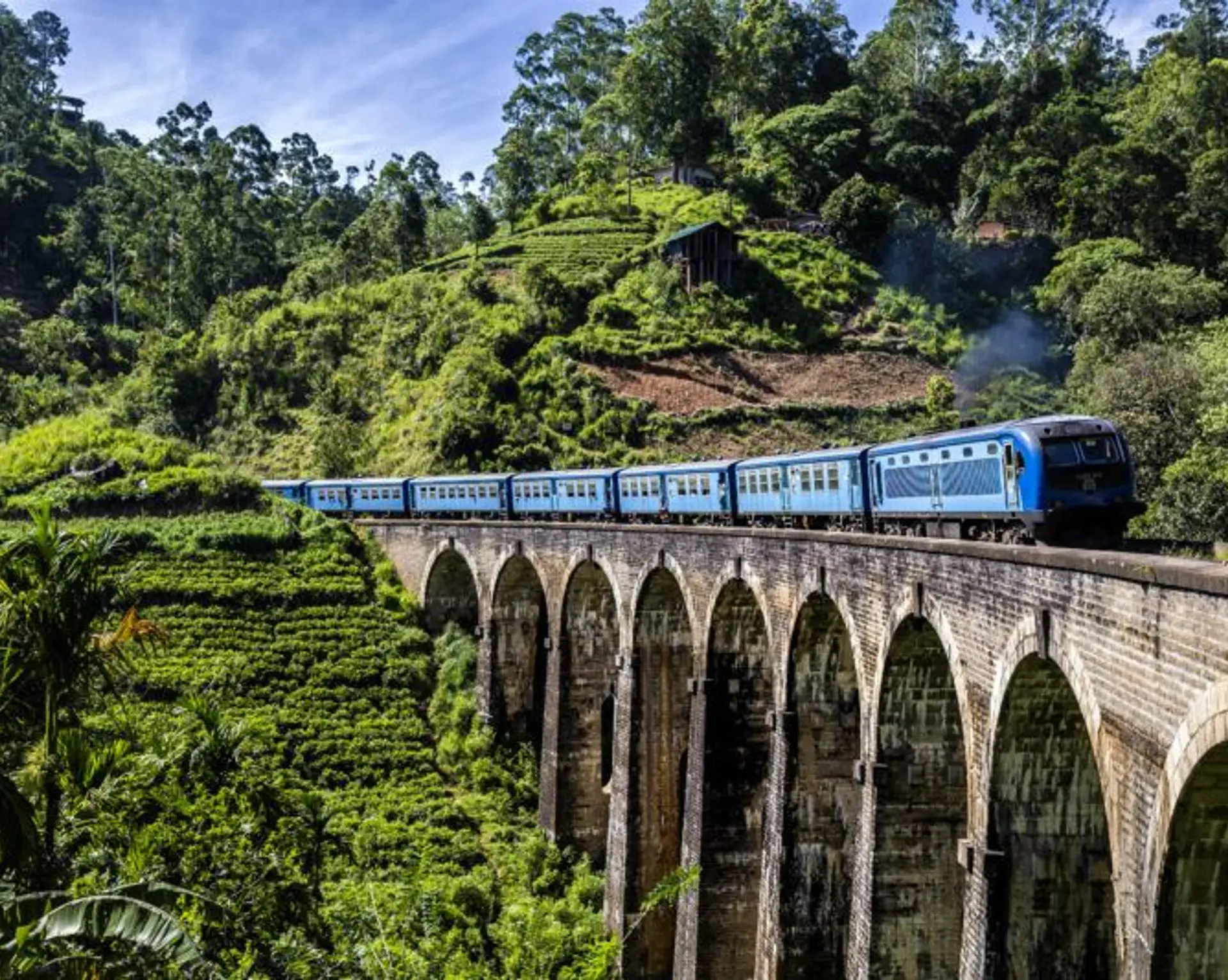 Le célèbre train bleu traversant le pont aux neuf arches (Nine Arch Bridge) au milieu des plantations de thé.