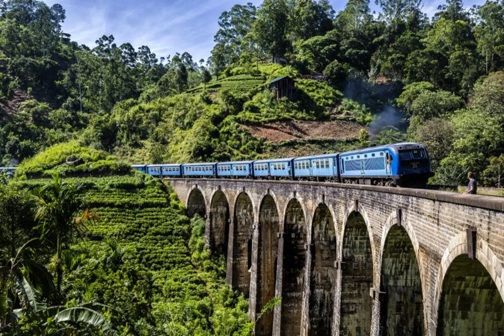 Le célèbre train bleu traversant le pont aux neuf arches (Nine Arch Bridge) au milieu des plantations de thé.
