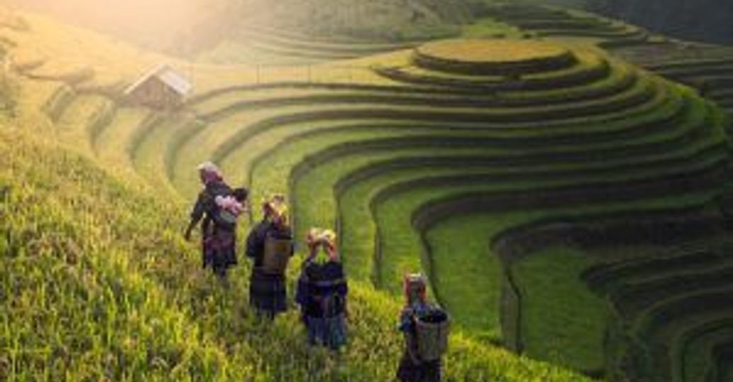 5-raisons-vous-apprecierez-vietnam.htm