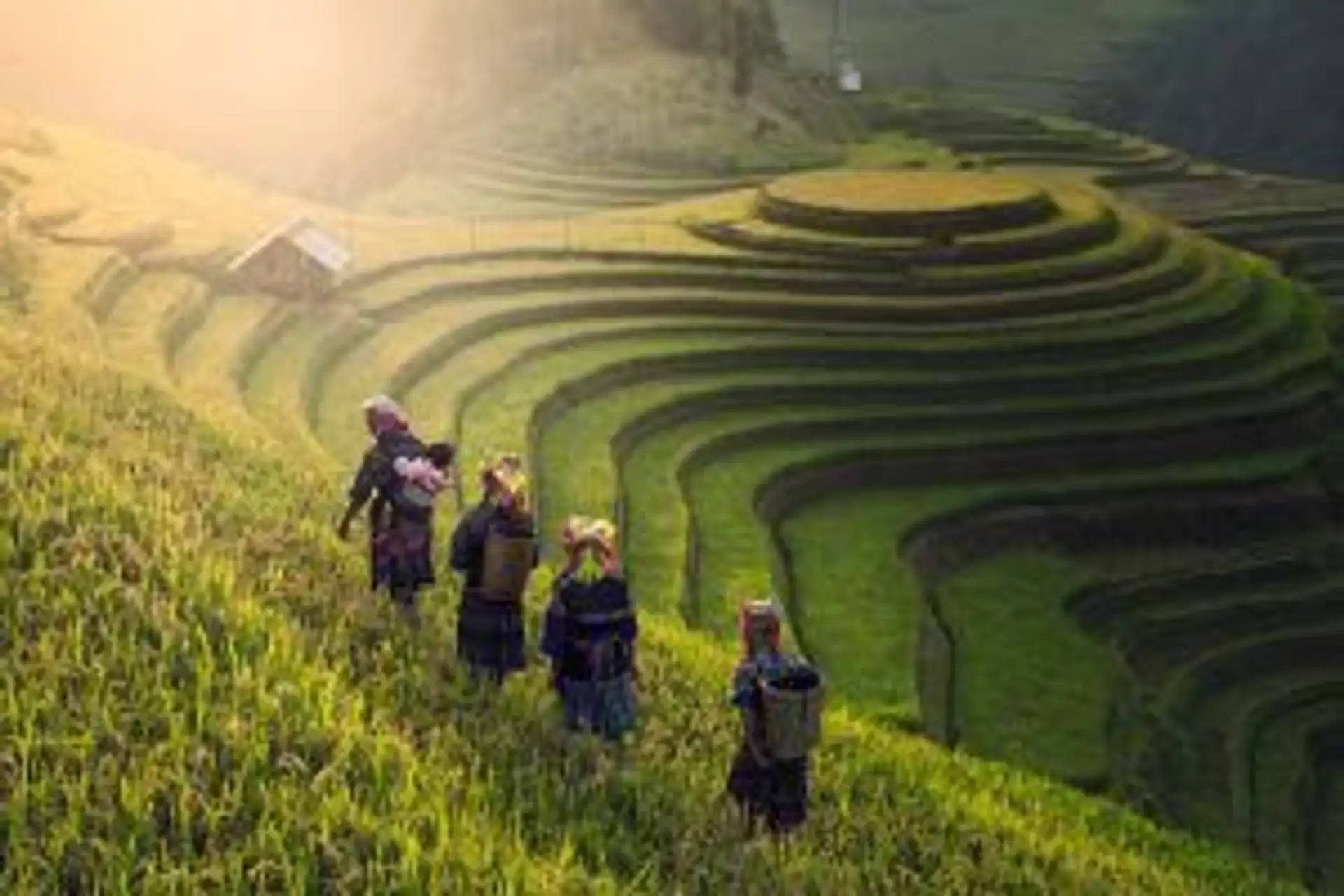 5-raisons-vous-apprecierez-vietnam.htm