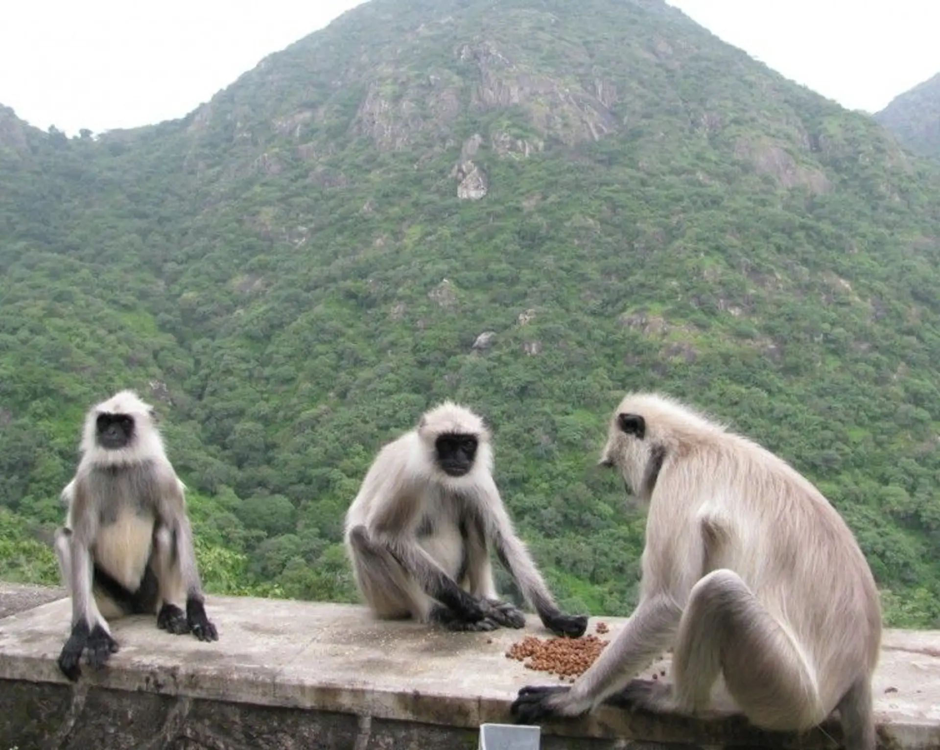 rajasthan-reise-udaipur-nach-jaisalmer.htm