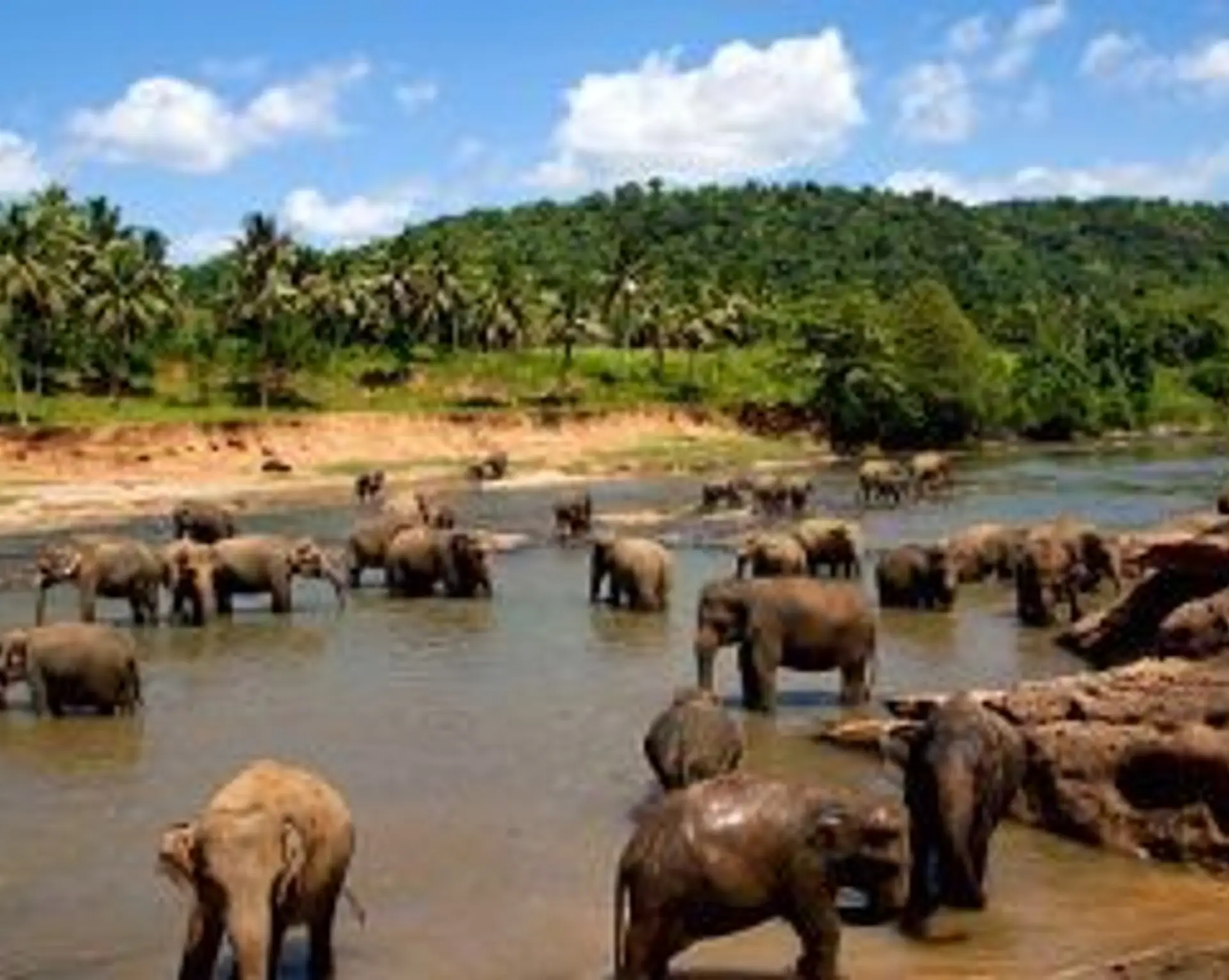 randonnees-treks-sri-lanka-escapade-nature.htm