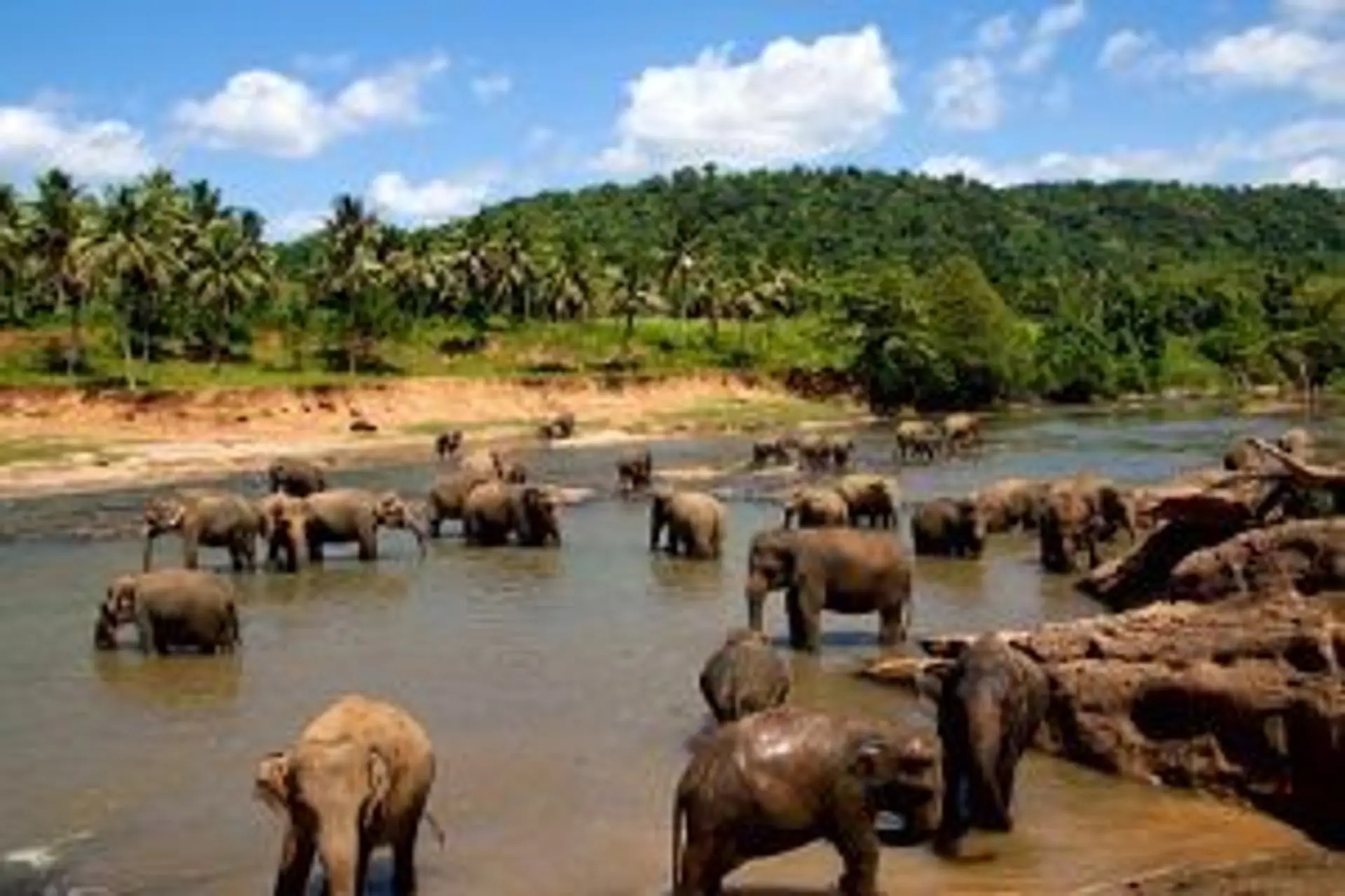 randonnees-treks-sri-lanka-escapade-nature.htm