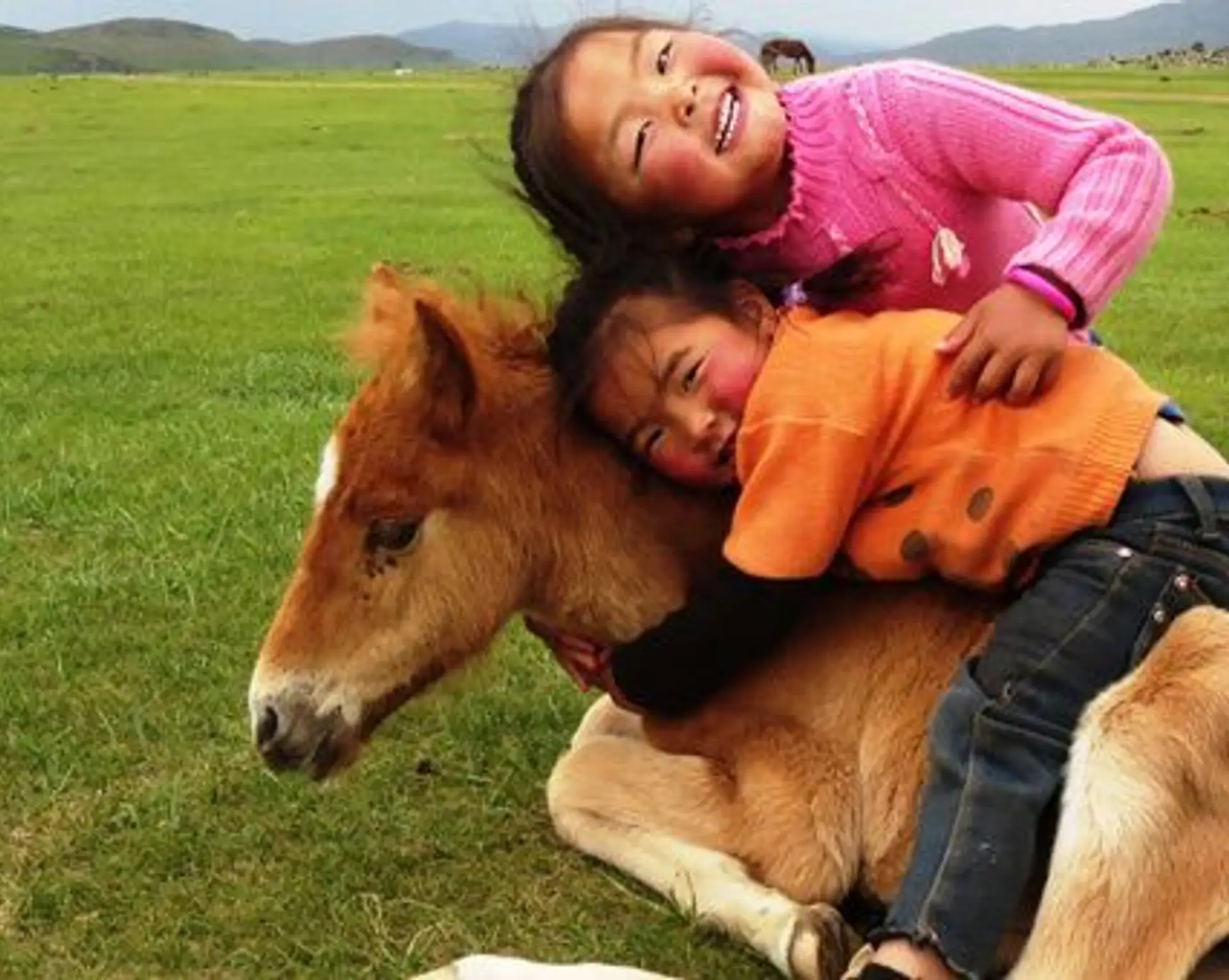 rencontre-avec-le-peuple-nomade-de-mongolie.htm